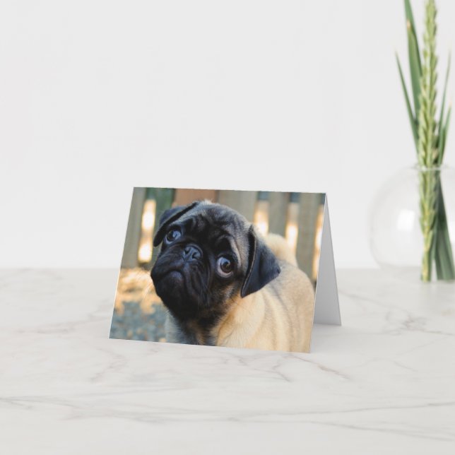 Carte d'anniversaire de marionnettes Carlin mignon (Devant)