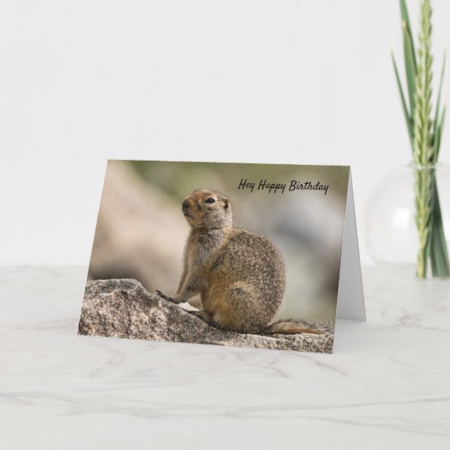 Carte d'anniversaire de marmotte (Devant)