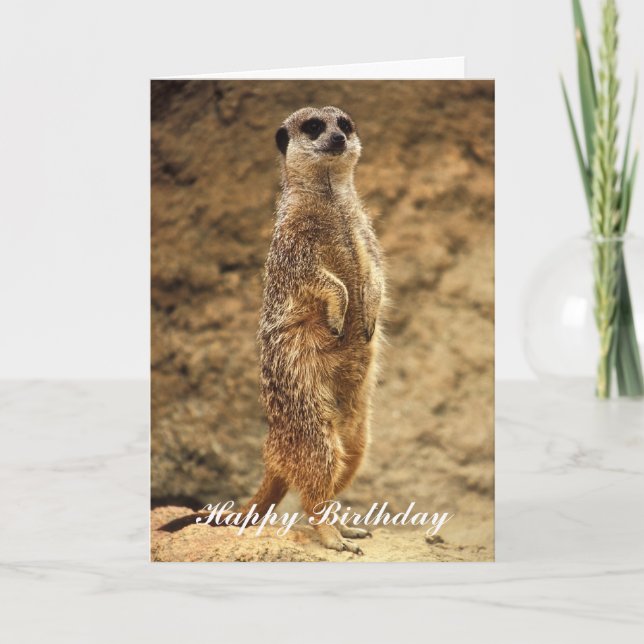 Carte d'anniversaire de Meerkat (Devant)