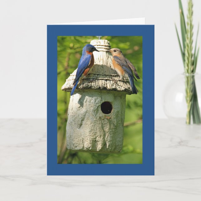 carte d'anniversaire de merlebleu (Devant)