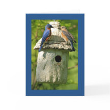 carte d'anniversaire de merlebleu