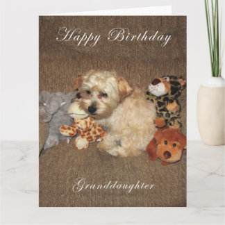 Carte d'anniversaire de petite-fille de chiot