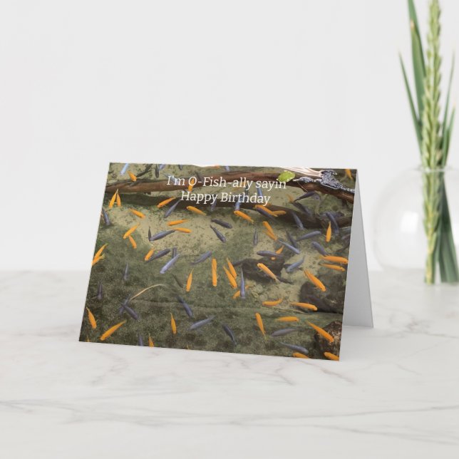 Carte d'anniversaire de poisson humoristique (Devant)