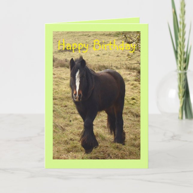 Carte d'anniversaire de poney tzigane (Devant)