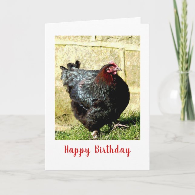 Carte d'anniversaire de poulet (Devant)