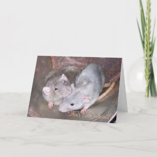 Carte d'anniversaire de rat d'animal familier