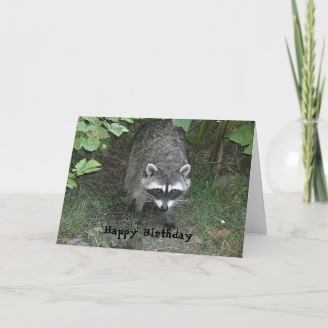 Carte d'anniversaire de raton laveur intelligent (Devant)