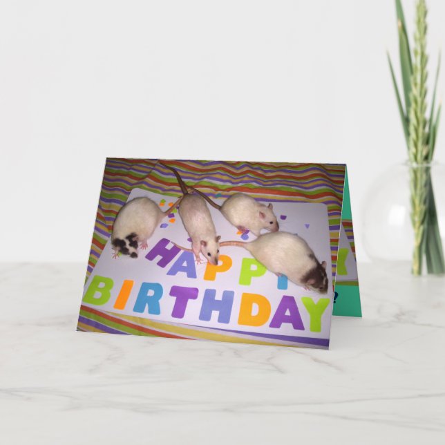 Carte d'anniversaire de rats ! v2 (Devant)