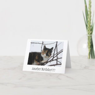 Carte d'anniversaire de Ronronnement-fect