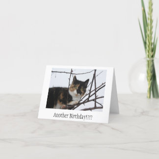 Carte d'anniversaire de Ronronnement-fect