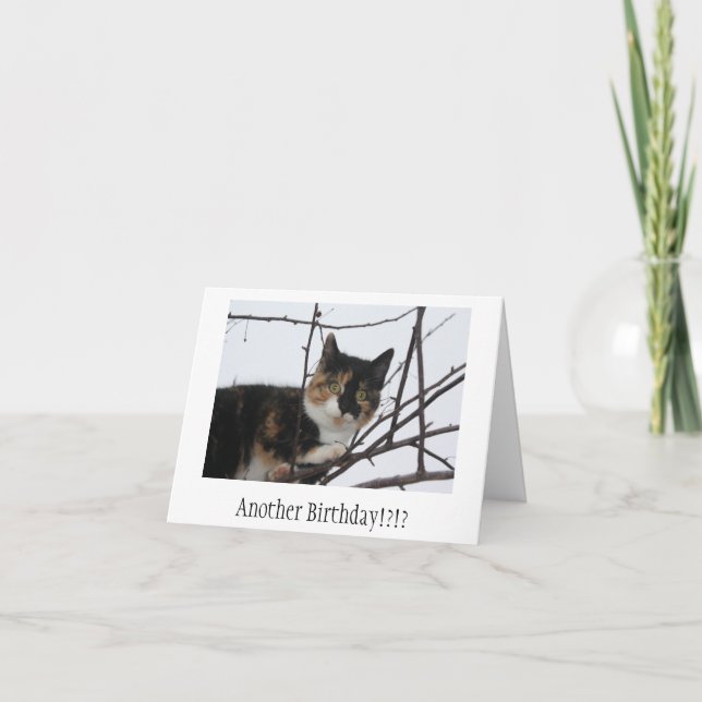 Carte d'anniversaire de Ronronnement-fect (Devant)