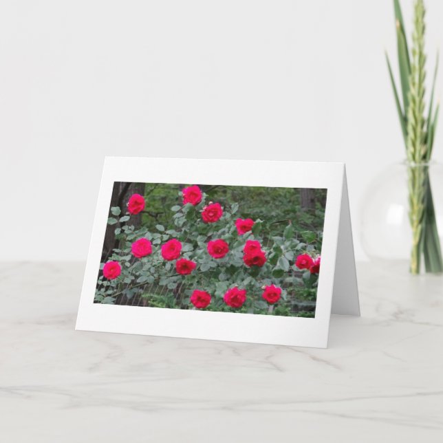 Carte d'anniversaire de roses d'été (Devant)