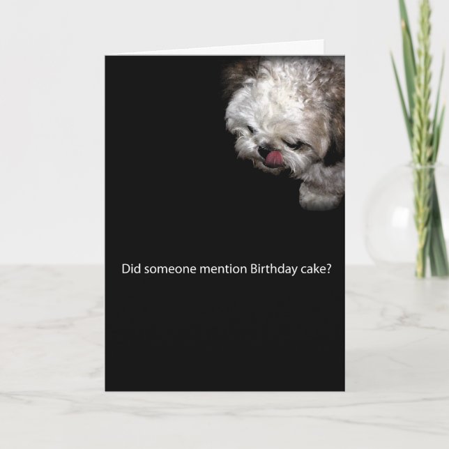 Carte d'anniversaire de Shih-Tzu (Devant)