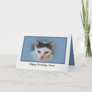 Carte d'anniversaire de soeur avec chat