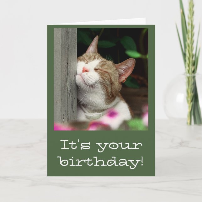 Carte d'anniversaire de sourire de chat (Devant)