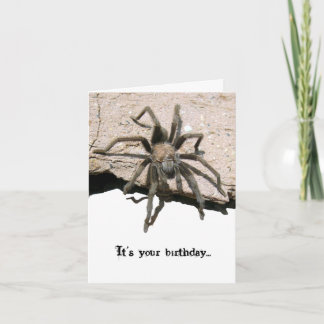 Carte d'anniversaire de tarentule
