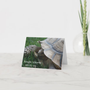 Carte d'anniversaire de Tortoise
