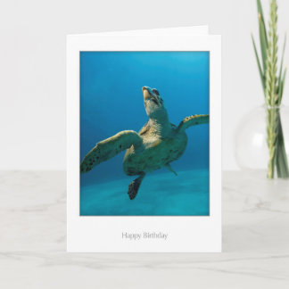 Carte d'anniversaire de tortue