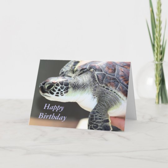 Carte D Anniversaire De Tortue De Mer De Bebe Zazzle Fr