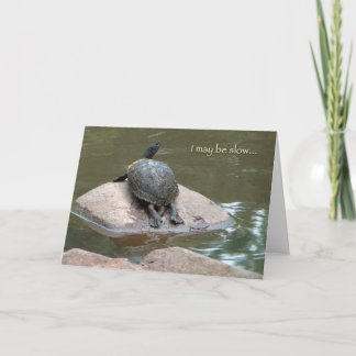carte d'anniversaire de tortue lente