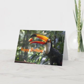 Carte d'anniversaire de toucan de Toco