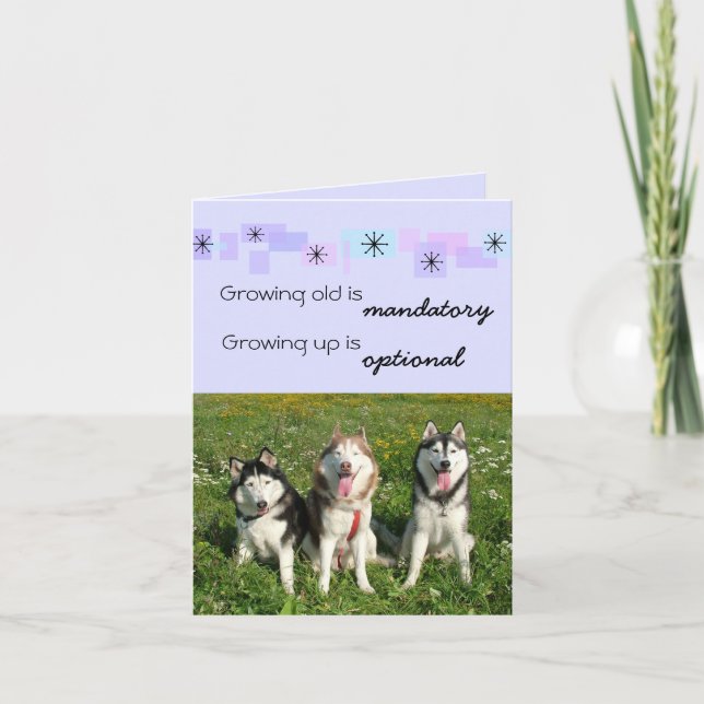 Carte d'anniversaire de trois chiens de traîneau (Devant)