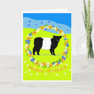 carte d'anniversaire de veau Belted Galloway