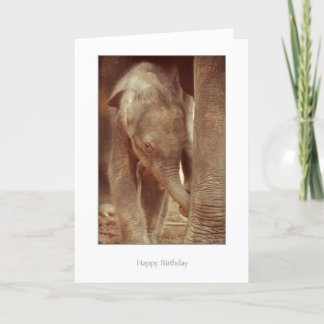 Carte d'anniversaire de veau d'éléphant