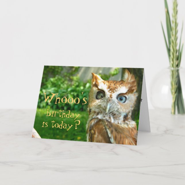 Carte d'anniversaire de Whooo (Devant)