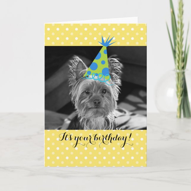 Carte d'anniversaire de Yorkie Dog (Devant)