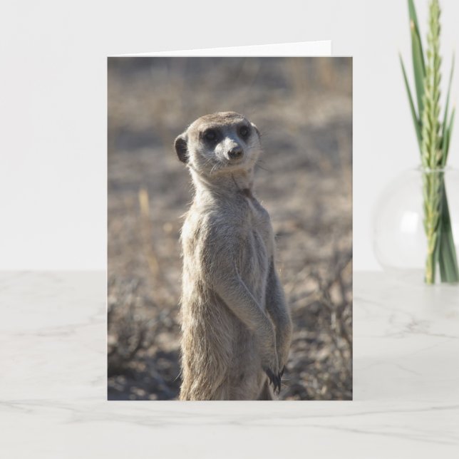 Carte d'anniversaire de Zaphod 5 (Devant)