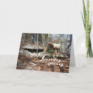 Carte d'anniversaire d'Elk