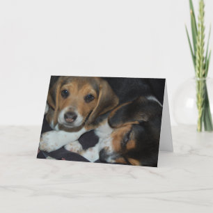 Carte d'anniversaire des beagles marionnettes