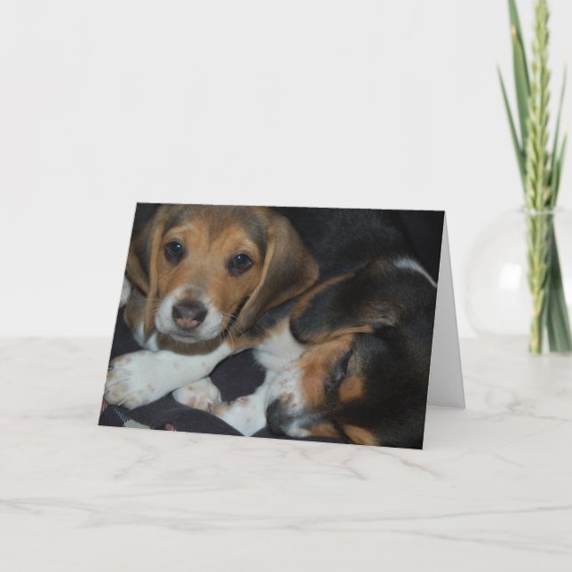 Carte d'anniversaire des beagles marionnettes (Devant)