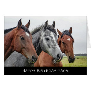 Carte d'anniversaire des chevaux