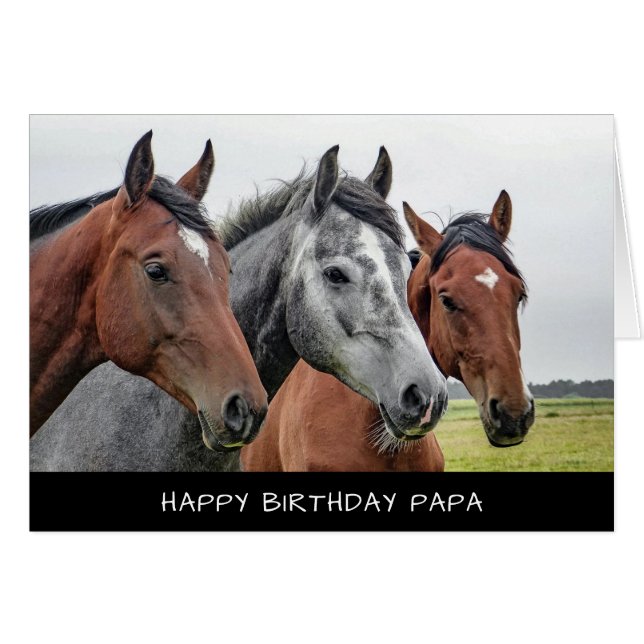 Carte d'anniversaire des chevaux (Devant Horizontal)
