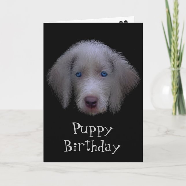 Carte d'anniversaire des chiots bleus (Devant)