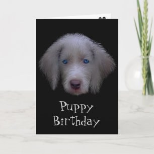 Carte d'anniversaire des chiots bleus