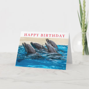 Carte d'anniversaire des dauphins