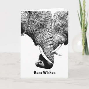 Carte d'anniversaire des jeunes éléphants africain