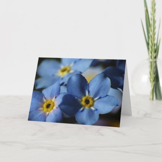 Carte d'anniversaire des myosotis des marais 7 (Devant)