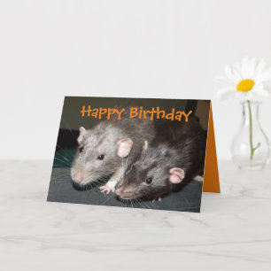 Carte d'anniversaire des rats Dumbo Cheeky