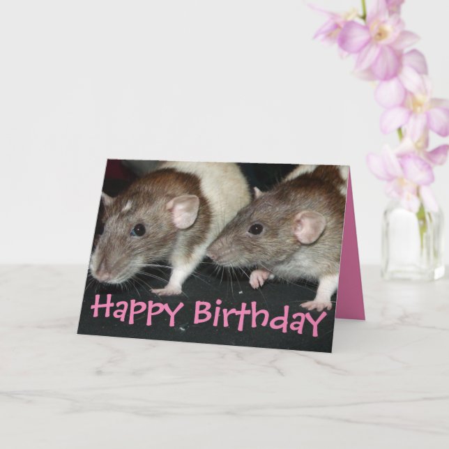 Carte d'anniversaire des rats filles à capuchon d' (Orchidée)