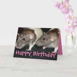Carte d'anniversaire des rats filles à capuchon d'