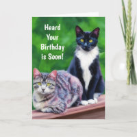 Carte d'anniversaire Deux Chats Amoureux de Chats