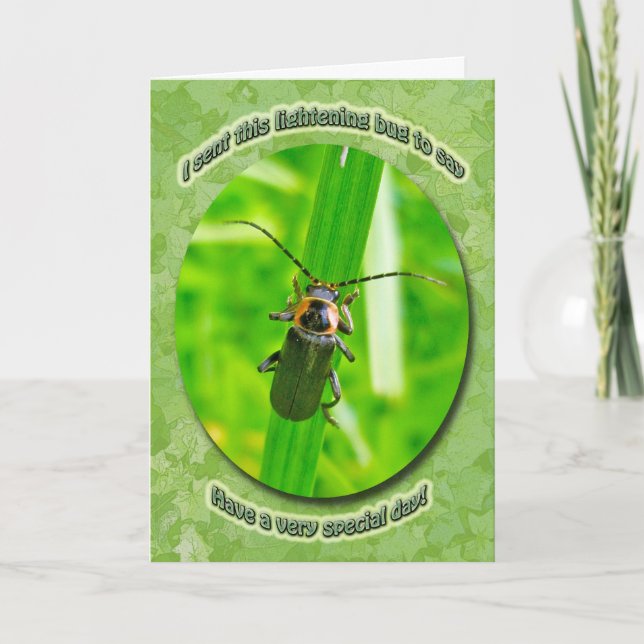 Carte d'anniversaire d'insecte d'allégement (Devant)