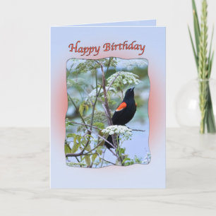 Carte d'anniversaire d'oiseaux noirs à ailes rouge