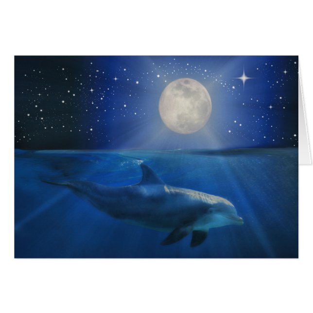 Carte d'anniversaire Dolphin and Moon (Devant horizontal)