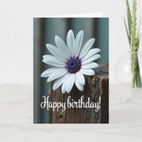 Carte d'anniversaire douce Fleur de marguerite