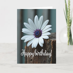 Carte d'anniversaire douce Fleur de marguerite
